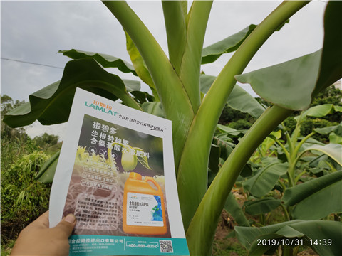 葉面肥，微生物菌劑，硼肥，水溶肥