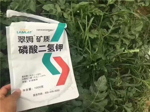 磷酸二氫鉀，硼肥，沖施肥