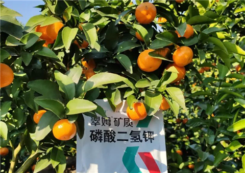 磷酸二氫鉀，拉姆拉，翠姆