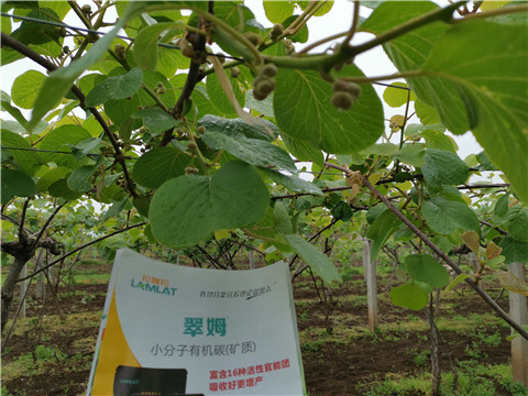 小分子有機碳，拉姆拉，翠姆