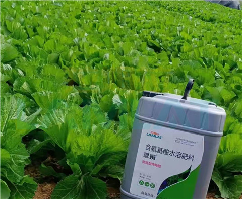 水溶肥，翠姆，拉姆拉