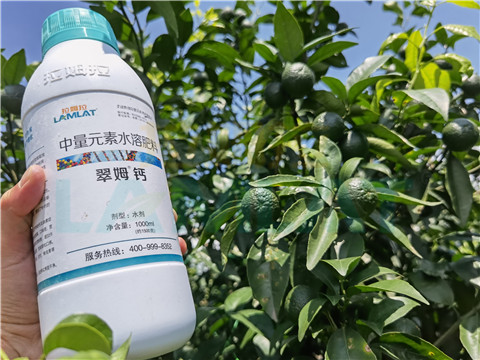 水溶肥，拉姆拉，翠姆