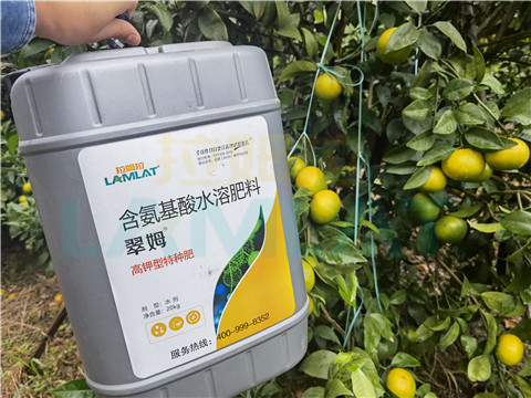 水溶肥，拉姆拉，翠姆