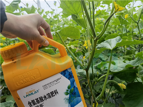 生根劑，拉姆拉，翠姆