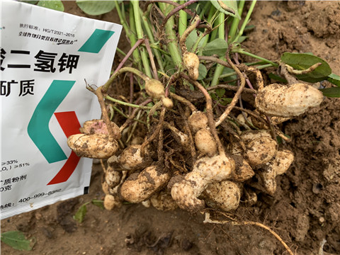 水溶肥品牌,翠姆,花生水溶肥 水溶肥品牌,翠姆,花生水溶肥