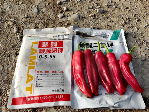 辣椒種植,水溶肥品牌,翠姆水溶肥