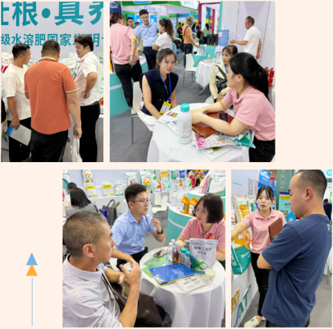 云南植保會(huì),水溶肥,拉姆拉滴灌級(jí)特種肥 云南植保會(huì),水溶肥,拉姆拉滴灌級(jí)特種肥